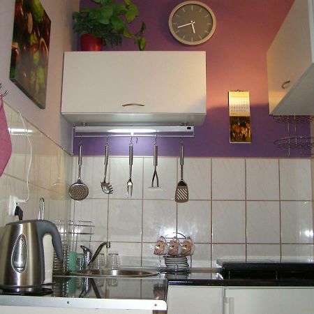 Apartament Dobra Nocka Krynica Zdroj Ngoại thất bức ảnh